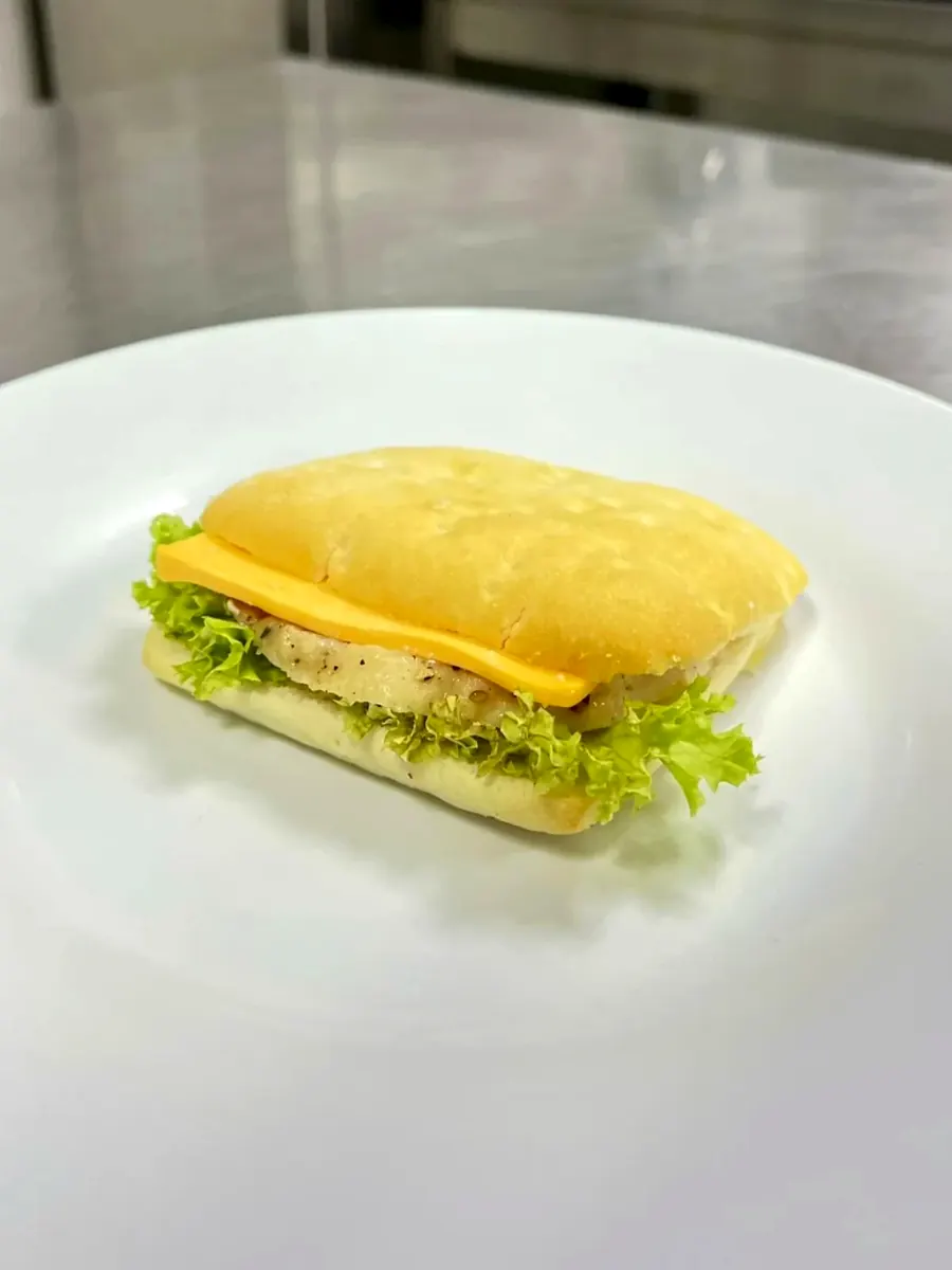 دجاج بالكاري